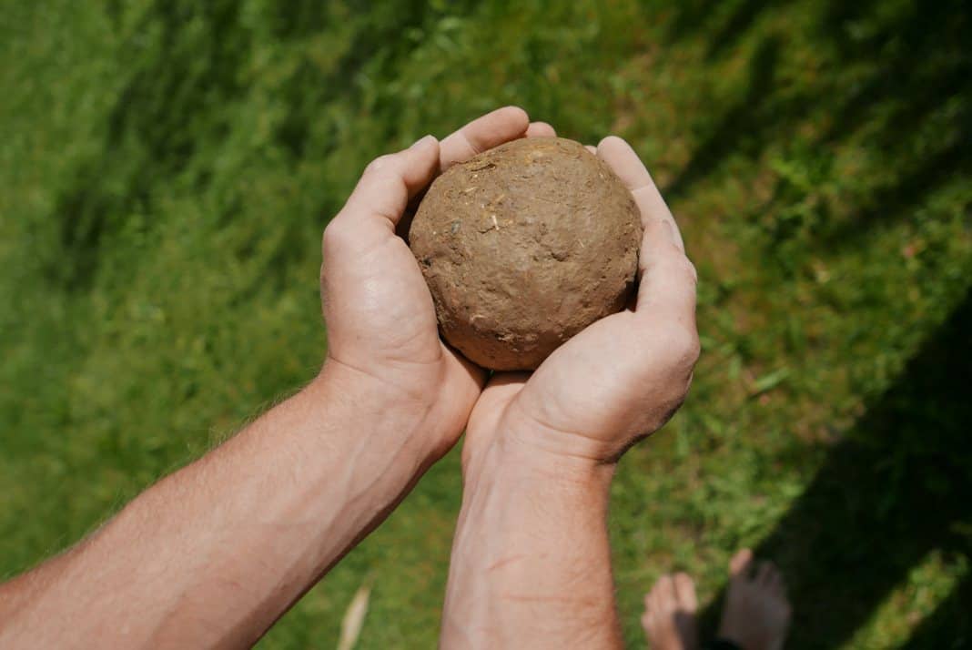 dorodango