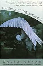 The Spell of the Sensuous – David Abrams